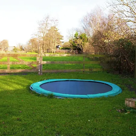 Ferienhaus Cozy In With Terrace Bergen