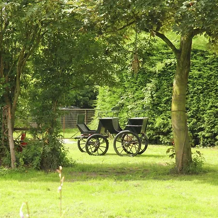 Cozy In With Terrace Ferienhaus Bergen